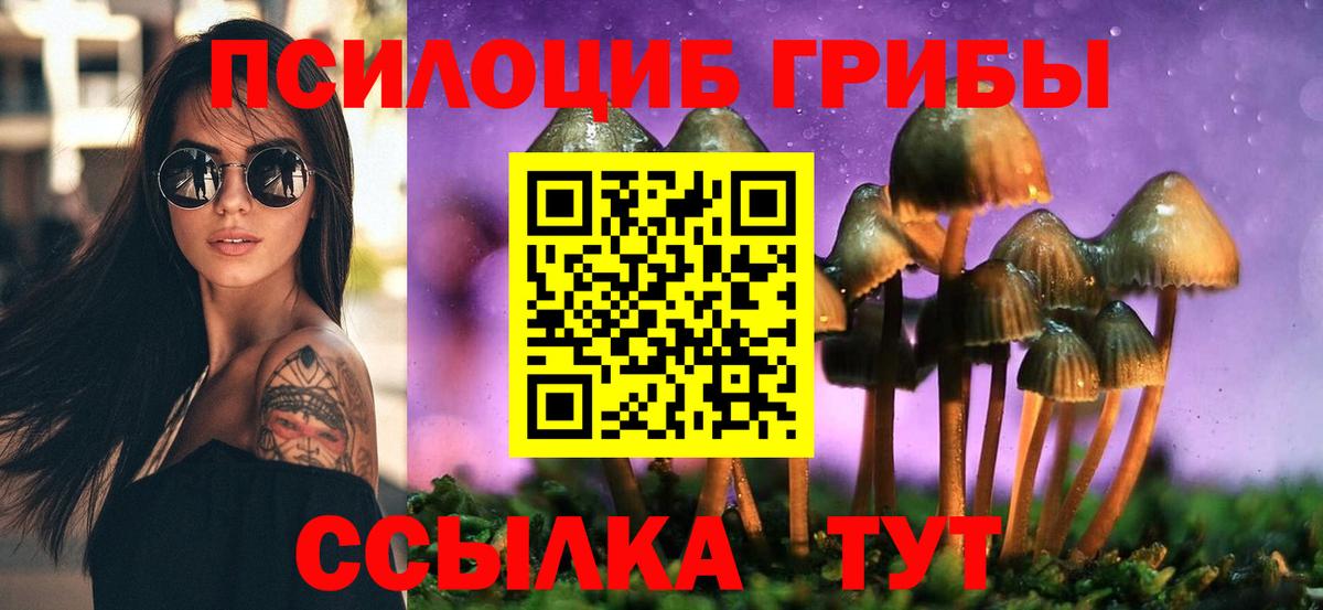 Псилоцибиновые грибы MAGIC MUSHROOMS  Псилоцибиновые грибы Psilocybine cubensis  купить   Вход с VPN  Большой Камень 